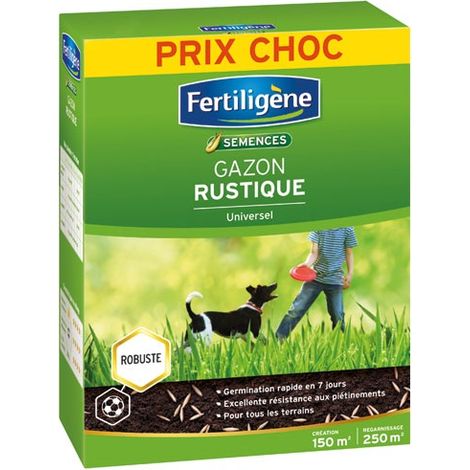 FERTILIGENE Prato Rustico Universale 3,75 kg verde