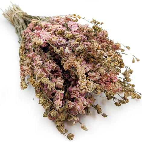 Getrockneter Rittersporn – Rosa (1/5)