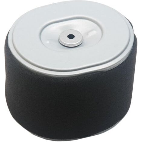 S-giant Air Fit pour moteur Honda gx340 GX390 11hp et 13HP Aftermarket  17210-ze3 ze3-505,17210-010 Stens:100-012,Oregon:30-417,Rotary:19-7712 5252697