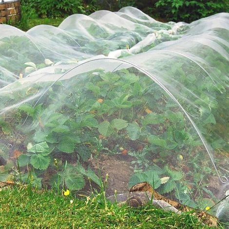 Insektennetz 3 m x 10 m, Insektennetz für Pflanzen, Gartennetz, Insektennetz für Gemüsegärten, feinmaschiges Insektennetz für Pflanzen und Gemüsegärten, strapazierfähiges Insektennetz (1/5)
