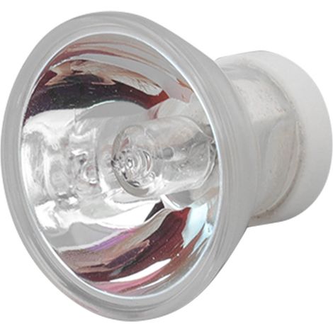 Lampe Halogène pour Fauteuil Dentaire 12V 75W 35mm, Éclairage Professionnel à Conduction Thermique, Ampoule de Rechange pour Cabinet Dentaire (1/5)