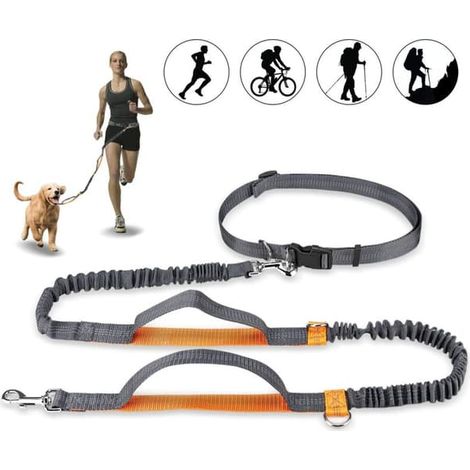 Laisse mains libres pour chien, réglable et élastique, idéale pour le jogging avec coutures réfléchissantes, pour chiens jusqu'à 110 kg. (1/4)