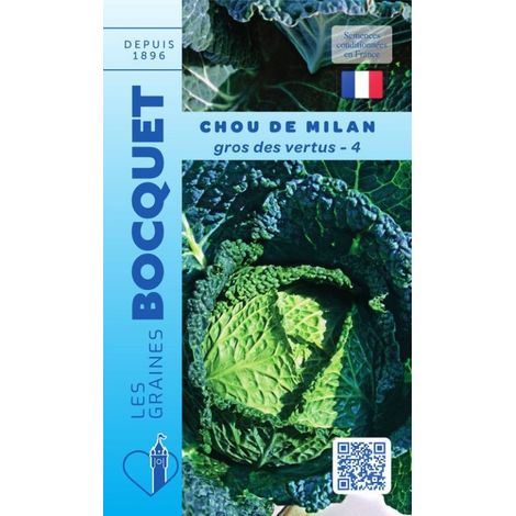 Chou de Milan gros des vertus-4 - 3g