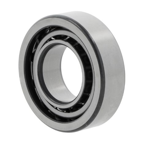 Pendelrollenlager 21309 -E1-XL-K ID 45mm AD 100mm Breite25mm FAG (1/2)