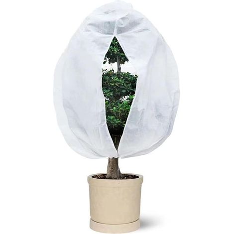 Housse d'hiver pour plantes, avec fermeture éclair, pour plantes de balcon (1/5)