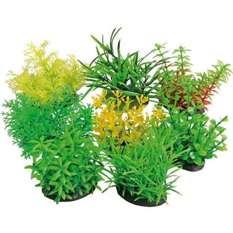 Set 8 pezzi Tropical Plant 7 cm Series colori e forme assortiti