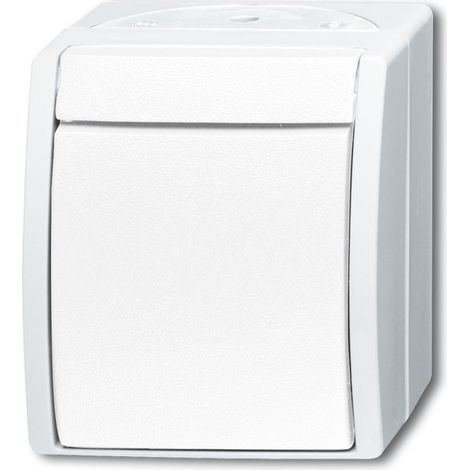 Busch-Jaeger Bouton-poussoir à bascule Bouton-poussoir, bouton-poussoir simple 1P 1 Contact NO blanc alpin - ocean® (2621 W-54), 2CKA001484A0380