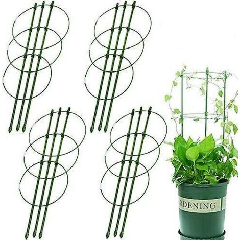 BUNTHAUS Support Escalade Rotin 631 Support Fleur Fixe 45cmx4-Ensoleillé (1/5)
