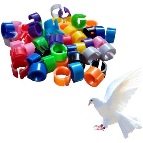 100 Vogelbeinringe [8 mm] Kunststoff-Kennzeichnungsringe für Tauben, Fußringe zum Markieren, Aufzucht von Wachteln, Papageien und Geflügelküken
