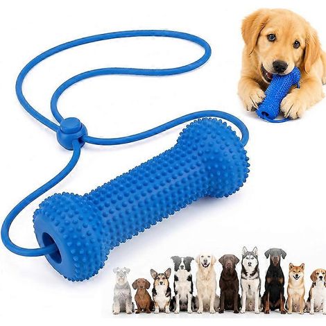 Bâtonnet à mâcher dentaire double action avec ventouse et cordelette pour le nettoyage des dents des chiens (1/5)