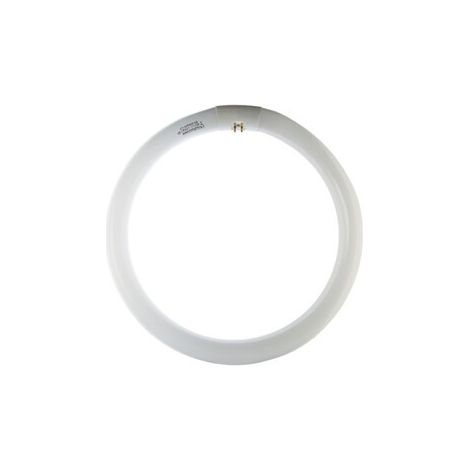 CIRCOLINA 22W G10Q 1200LM 6500K