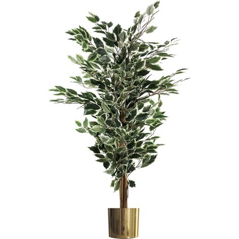 130cm Variegated White/Green Bushy Ficus Tree Gold Metal Planter (1/4)