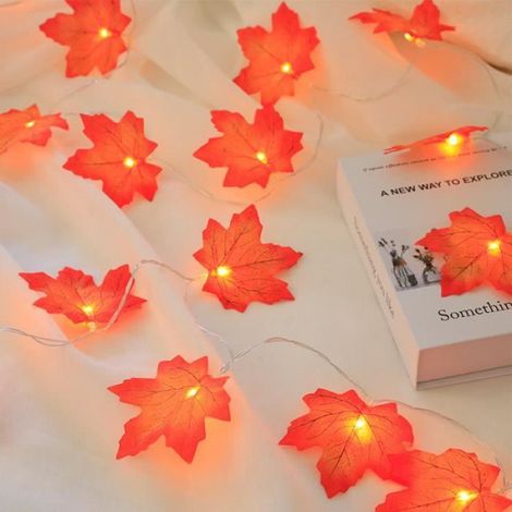 Guirlande lumineuse - - 6m - 40 LED - USB - Décoration Halloween (1/4)