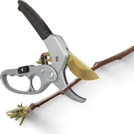 Sécateur de Jardin Titane à Crémaillère - Poignée Ergonomique Antidérapant, Coupe Nette et Franche Sur Enclume, Branches jusqu'à 20 mm, Résistant - Verrouillage de Sécruité (1/5)