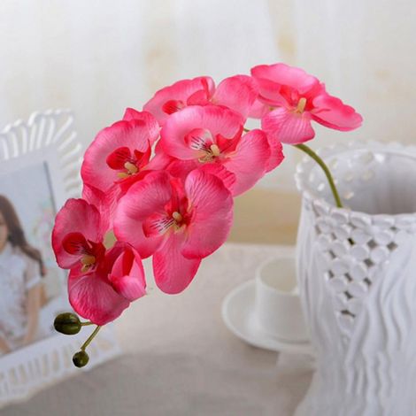 Branches D Orchidées Phalaenopsis - 70 Cm - Toucher Réaliste - Décoration Intérieure Bureau Mariage - Lot De 1 (1/5)
