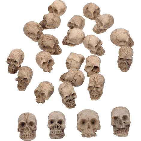 20-Piece Halloween Decorations: Realistic Skeleton Skulls, Small Decorative Skulls, Original Skull Accessories for Home and Garden (1/5)