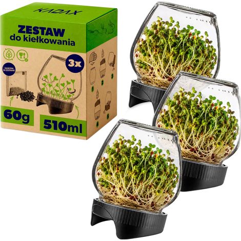 Vaso per germinazione, in vetro, capacità 510 ml, altezza 15 cm, filtro lenticolare, adatto alla germinazione dei semi (1/5)