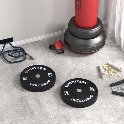 2 olympische Scheiben à 20 kg
