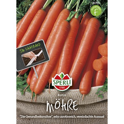 Sperli – Carotte Rotin en ruban de semis (Daucus carota) – Graines de légumes, 5 m, hauteur env. 30 cm (1/2)