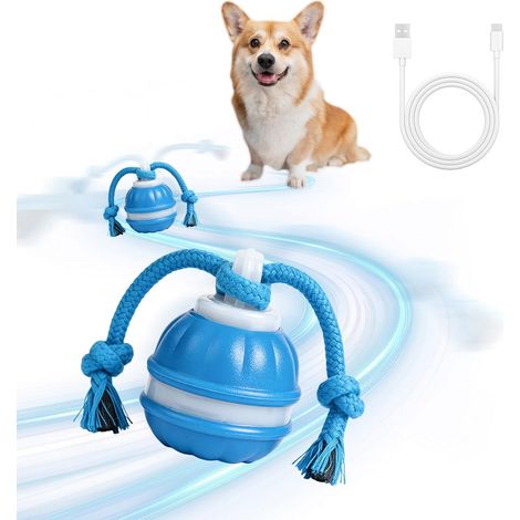Balle Interactive pour Chien et Jouet Interactif Électrique Indestructible, Balle pour Chien avec 3 Modes de Jeu, Télécommande, Sons d'oiseaux et Queue, pour Petits Chiens, Chiots et Chats (1/5)