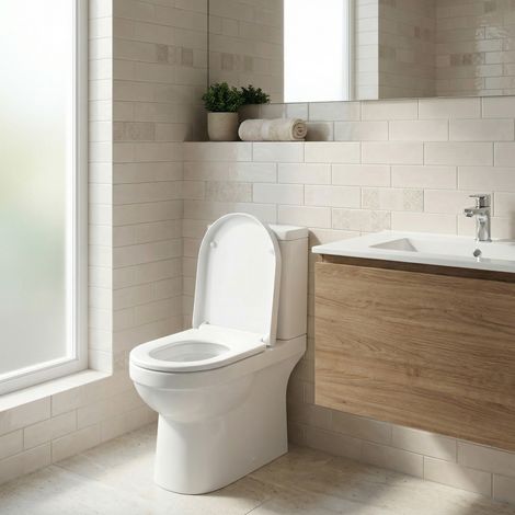 Abattant de Toilette Clipsable, Forme D Allongé, Lunette WC Universel avec Poignée, Frein de Chute, Plastique, Blanc (1/4)