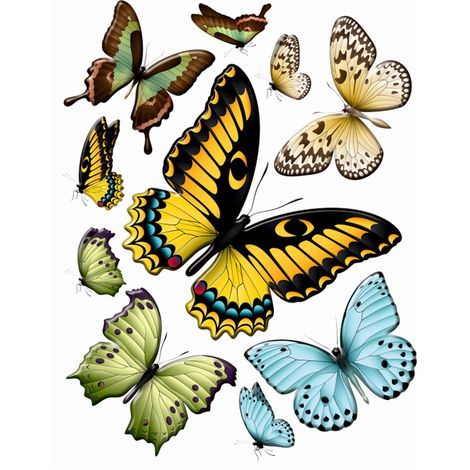 sticker mural papillons jaune, vert et bleu - Sanders & Sanders