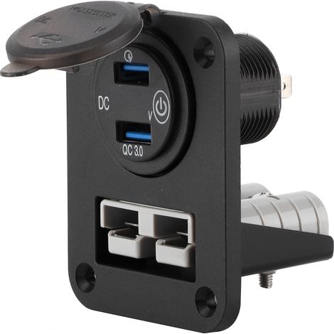 Chargeur de voiture avec prise allume-cigare, double port USB et voltmètre 50 A 600 W pour camions 12-24 V (1/5)