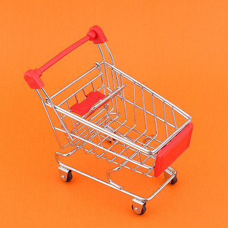 Mini chariot de supermarché, jouet pour animaux de compagnie, oiseau perroquet, développement de l'intelligence (1/5)