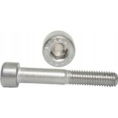 Vis Allen M20x100 A4 DIN 912 NG 10 pièces. (1/5)