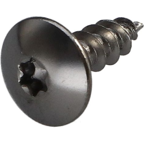 Vis Penture 5X16 Filetage total TORX T20 Acier chrome-2000 pièces