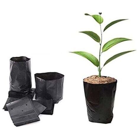100 pots en plastique pour semis, conteneurs de propagation de plantes, 8 cm x 8 cm (1/4)