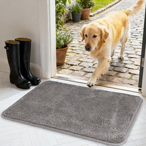 Indoor Entrance Mat, Door Mat, Absorbent and Non-Slip Dirt Trapper Mat, Washable, for Entrance, Interior, Door and Hallway, 40 x 60 cm (Grey) (1/5)