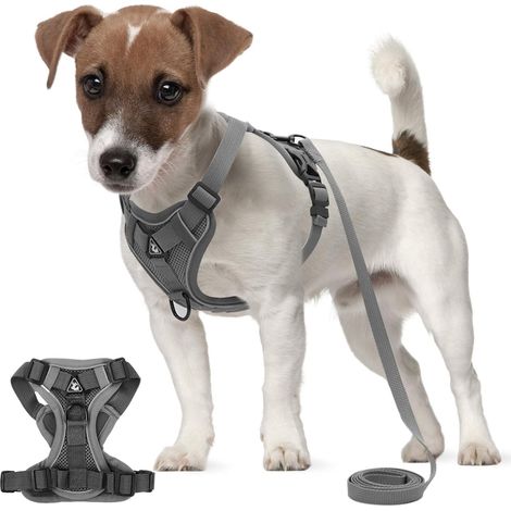 Harnais pour Chiens Petite Moyen Grand Taille, Harnais Animaux Réfléchissant avec 1,5m Laisse, Pet Harness Anti Traction, Gilet Harnais Chat Réglable Respirant pour Marcher Courir (S) (1/5)