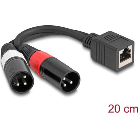Delock Cable adaptador RJ45 hembra a 2 x XLR 3 pines macho negro 20 cm