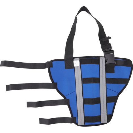 Attelle Pour Pattes Arrière Chien - Attelle Hock Droite En Néoprène Avec Bande De Support Et Bande Réfléchissante - 1 Pièce