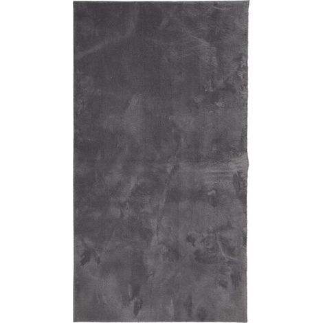 Tapis HUARTE doux à poils courts, lavable, gris anthracite, 60 x 110 cm (1/5)
