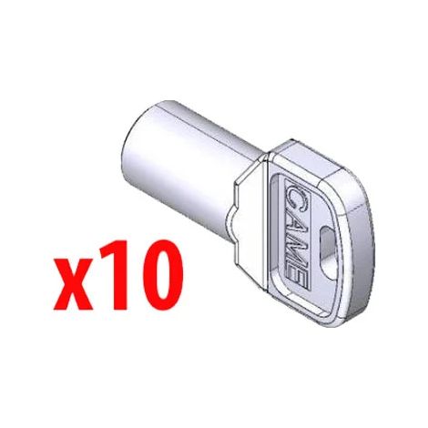 CAME 119RIY077 Chiave Sblocco Trilobata Per Motore BX BXV BK Ricambio (1/3)