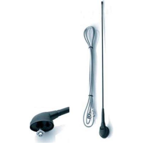 Antenne de toit avant AM FM 41cm compatible avec Renault (1/3)