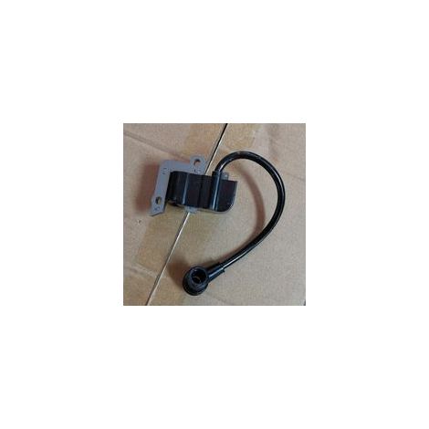 Bobine d'allumage, Pack haute tension, Bobine d'allumage Echo SRM-2100, 2400 GT-2000 PE-2000, 15660152131, 15660152130 (1/3)