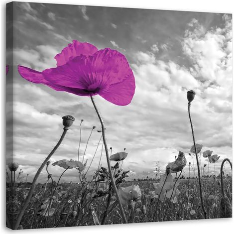 Tableau sur toile Fleurs Coquelicots Lilas dans le pré 40x40 (1/5)