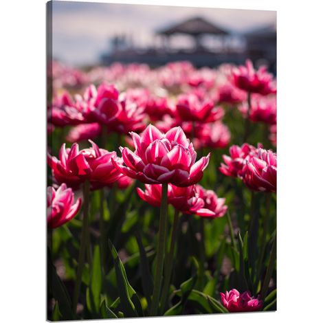 Stampa su tela Botanica Tulipani Fiori 50x70 cm Bouquet di fiori