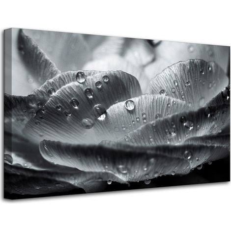 Leinwanddruck Blume in Tautropfen 80x50 cm