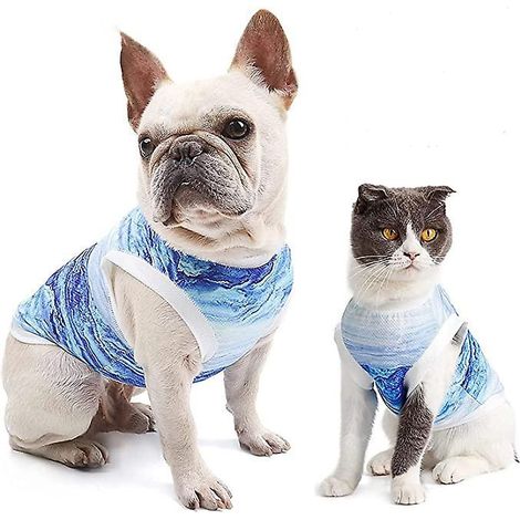 2 Pcs Dog Cooling Vest Breathable Dog Jacket (bleu M), Veste De Refroidissement Respirante Pour Soulager L'anxit, Gilet De Manteau Pour Petits Et (1/4)