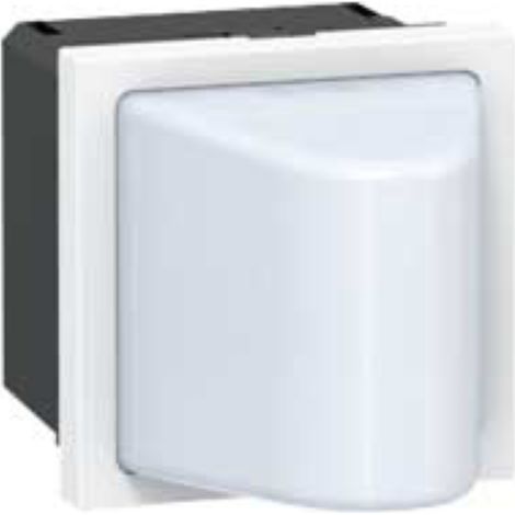 Hublot Mosaic 2 modules 12V à 24V pour 0,6W blanc LEGRAND 078561 (1/4)