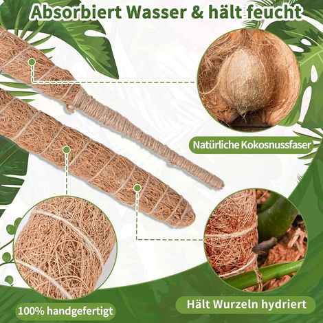 Biegsame Moosstäbe für Pflanzen, 4 x 60cm Monstera Moosstab-Set für Kletterpflanzen Handgefertigte schlanke Pflanzenstäbe für Indoor-Pflanzen (1/5)