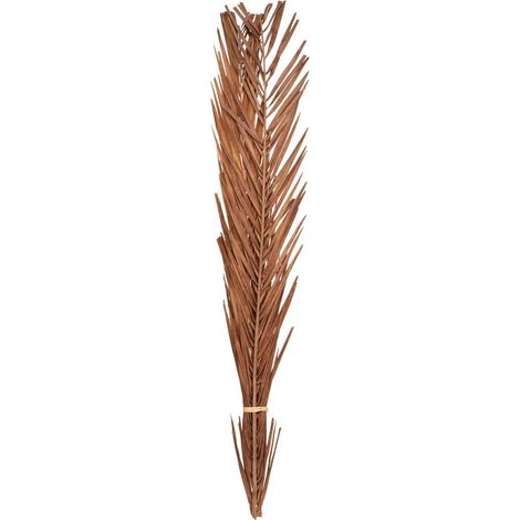 Natürliche Trockenblumen H100cm - Model 4