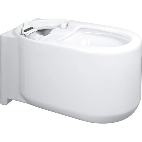 WC en céramique 14937 pour GROHE Sensia Arena blanc alpin (1/2)