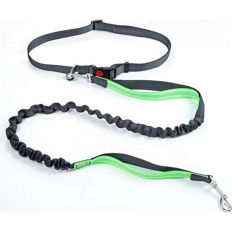 Laisse pour chien avec ceinture réglable, laisse de course et de jogging pour chien (1/5)