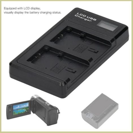 Chargeur de Batterie de L'appareil Photo NP - FV100 avec écran LCD, Charge à Double Emplacement, avec Câble USB (1/4)