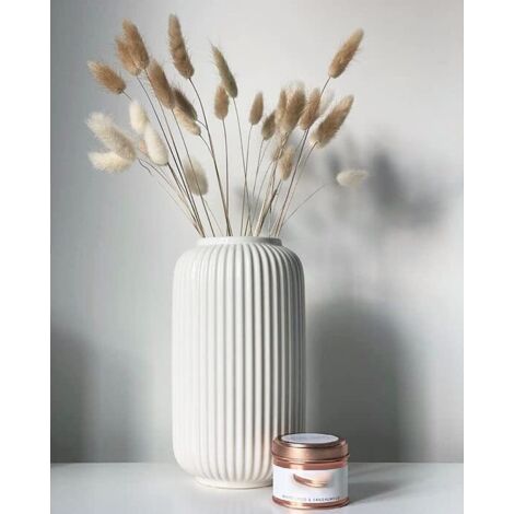 LAN Hauteur 20 cm Vase Côtelé en Ceramique Blanc pour Pampa, Vases Decoratif pour Centre de Table Decoration (1/3)